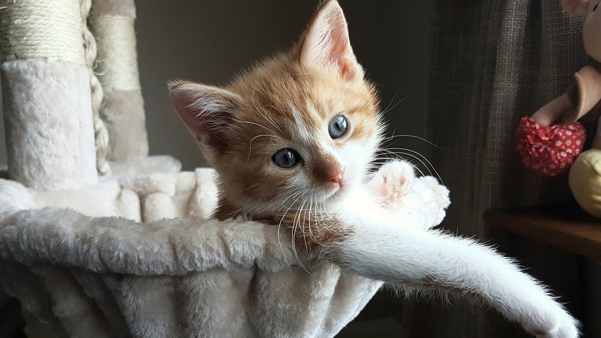 决胜时刻，马克西如利刃出鞘，公牛绝境突围勇士