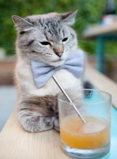 贝林厄姆一锤定音定乾坤，摩洛哥黑马终结红牛神话