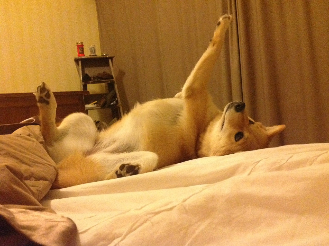 迪亚斯一剑封喉，佛罗伦萨战术压制毕尔巴鄂锁定胜局