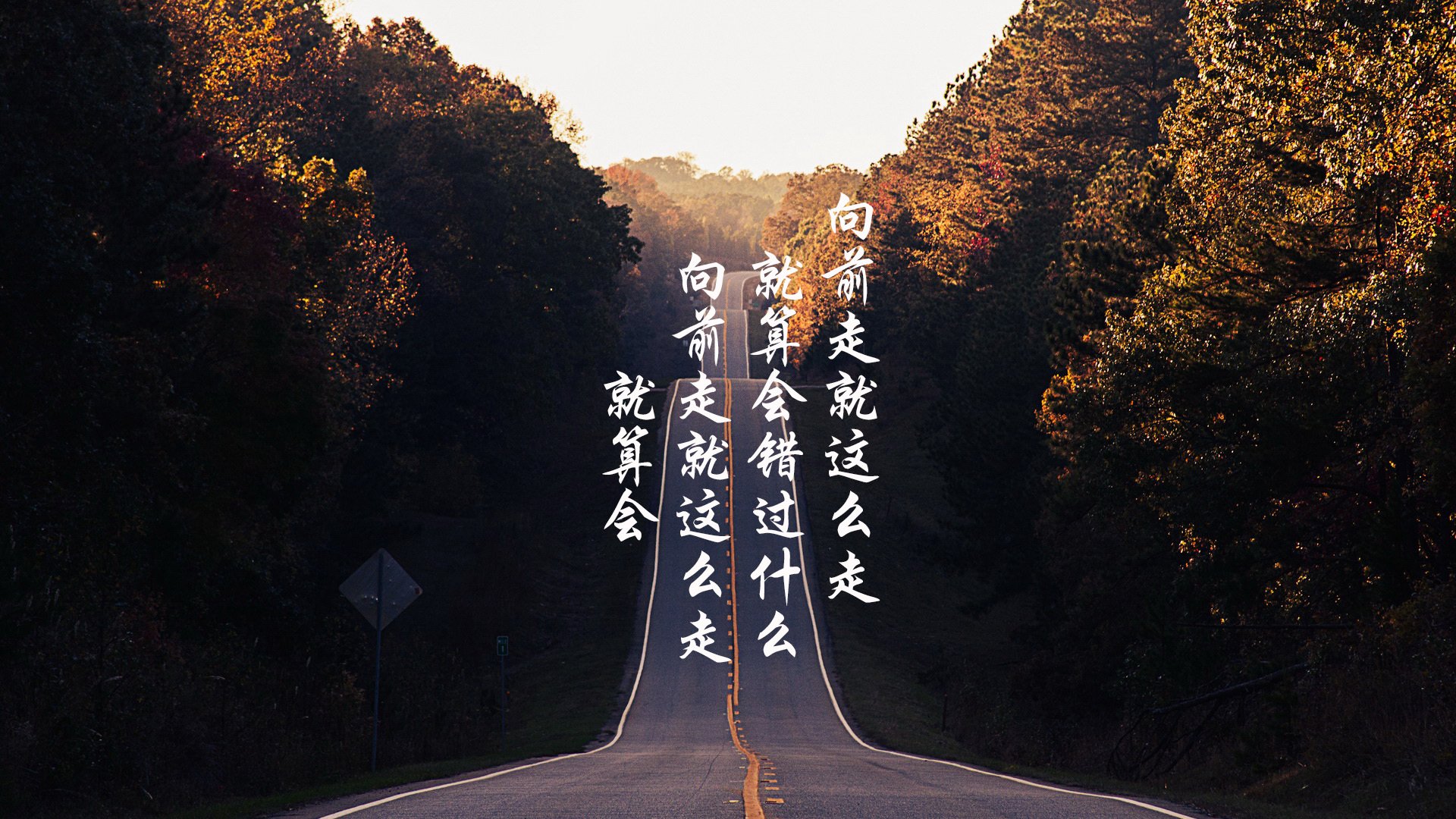 郁金香绽放，范戴克领衔荷兰铁卫，战术革命横扫高卢雄鸡